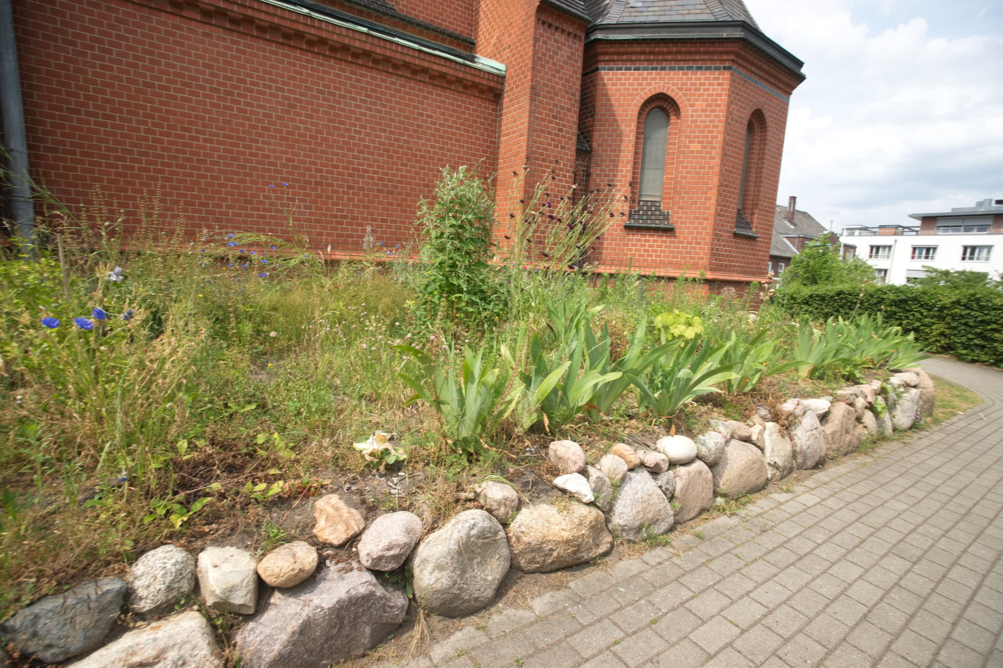 20230619 Gruen(t)raum Heimfeld 032