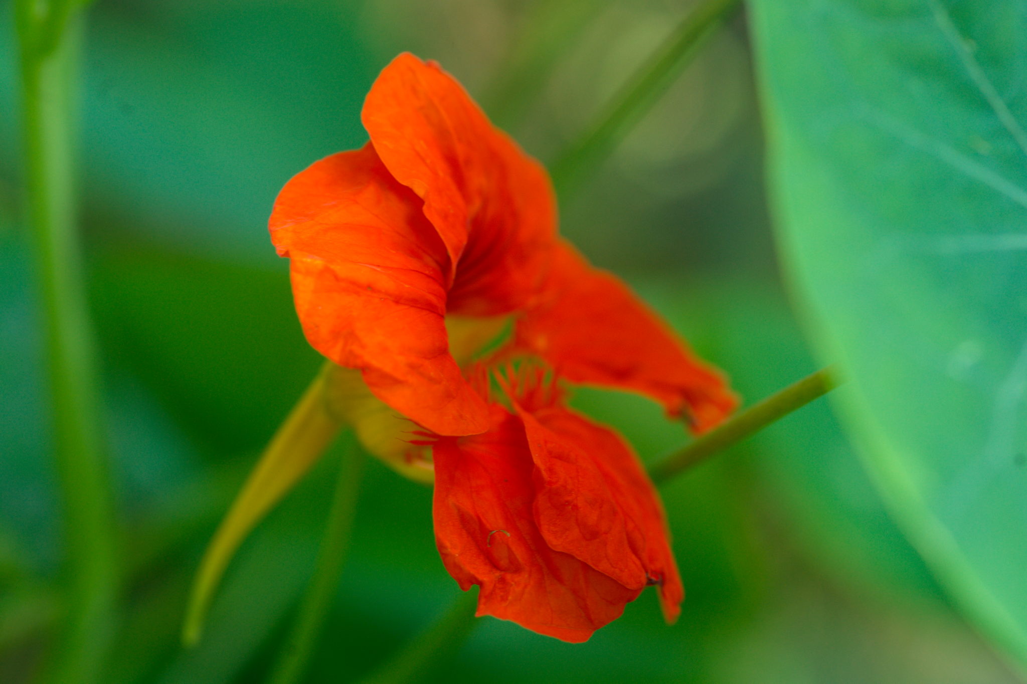 20219022 Gruen(t)raum Heimfeld 9528