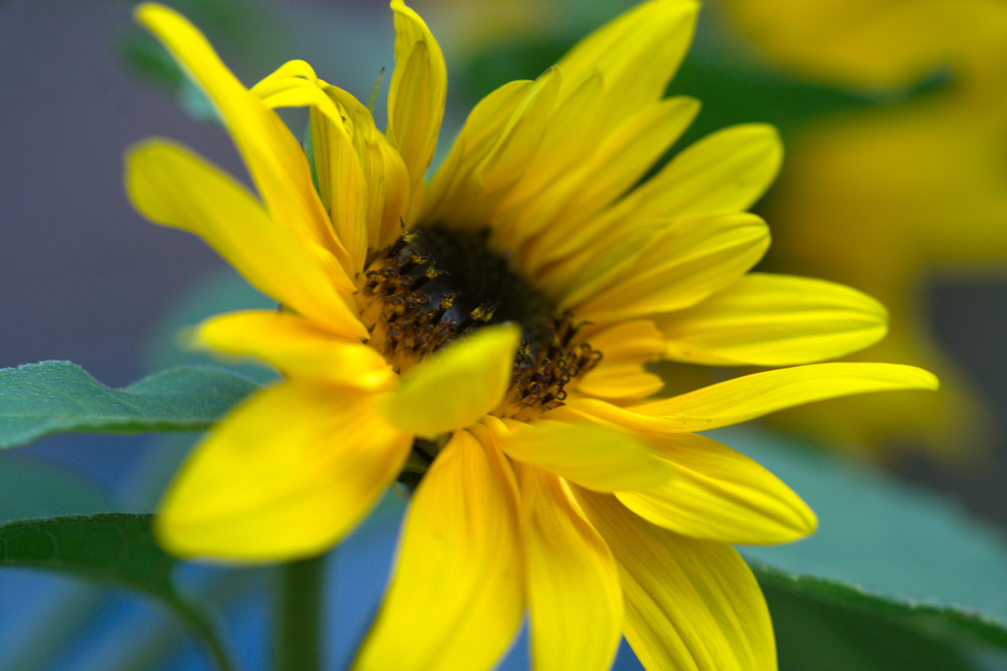 20219022 Gruen(t)raum Heimfeld 9536