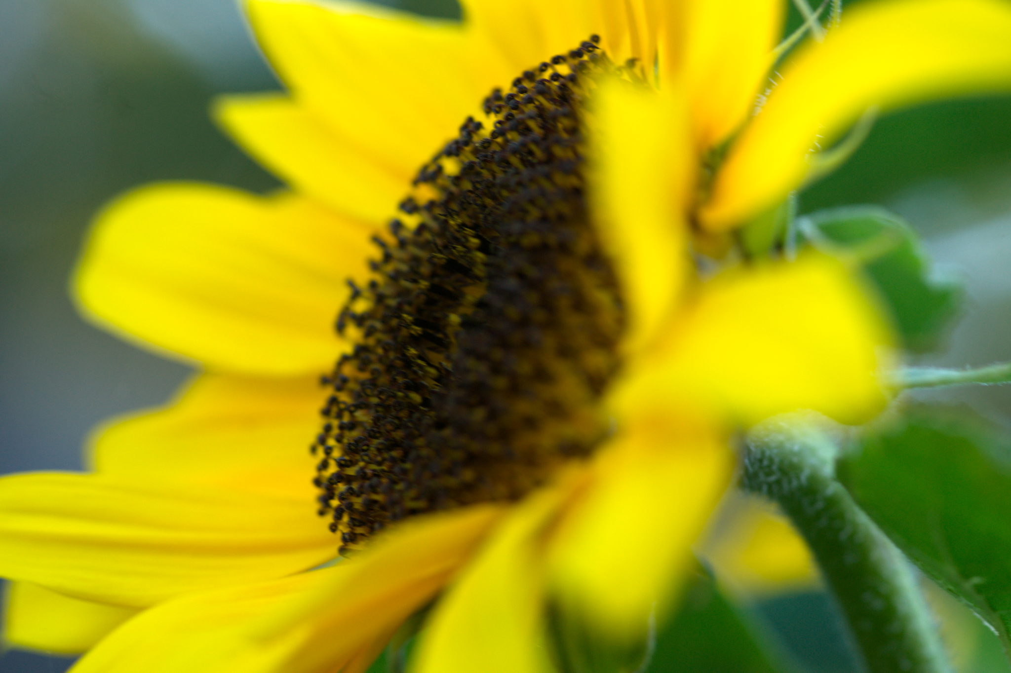 20219022 Gruen(t)raum Heimfeld 9538