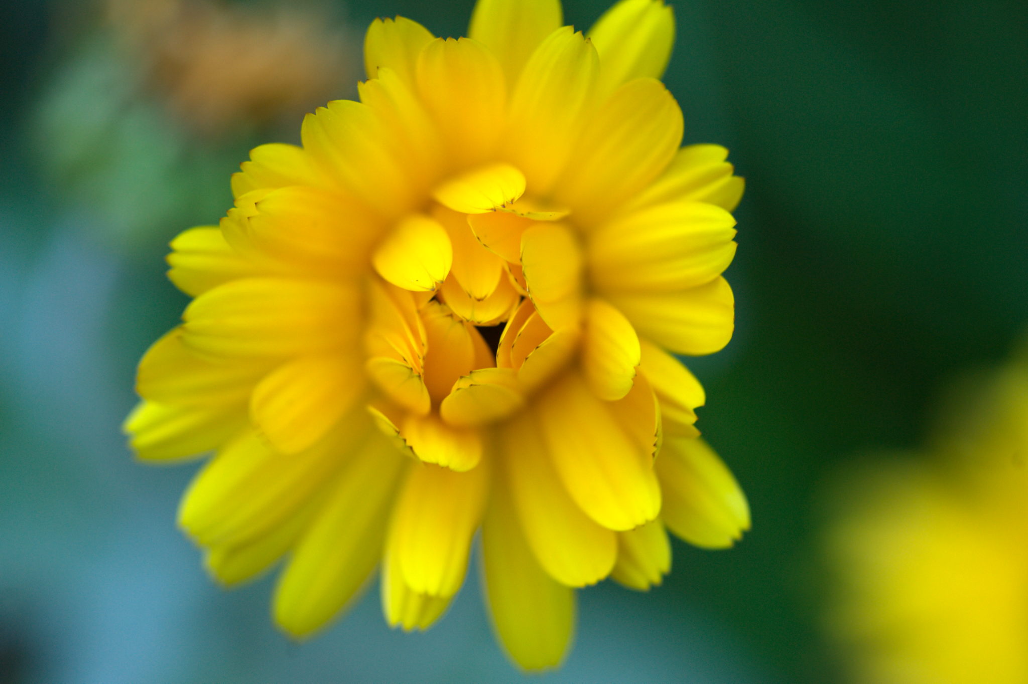 20219022 Gruen(t)raum Heimfeld 9540