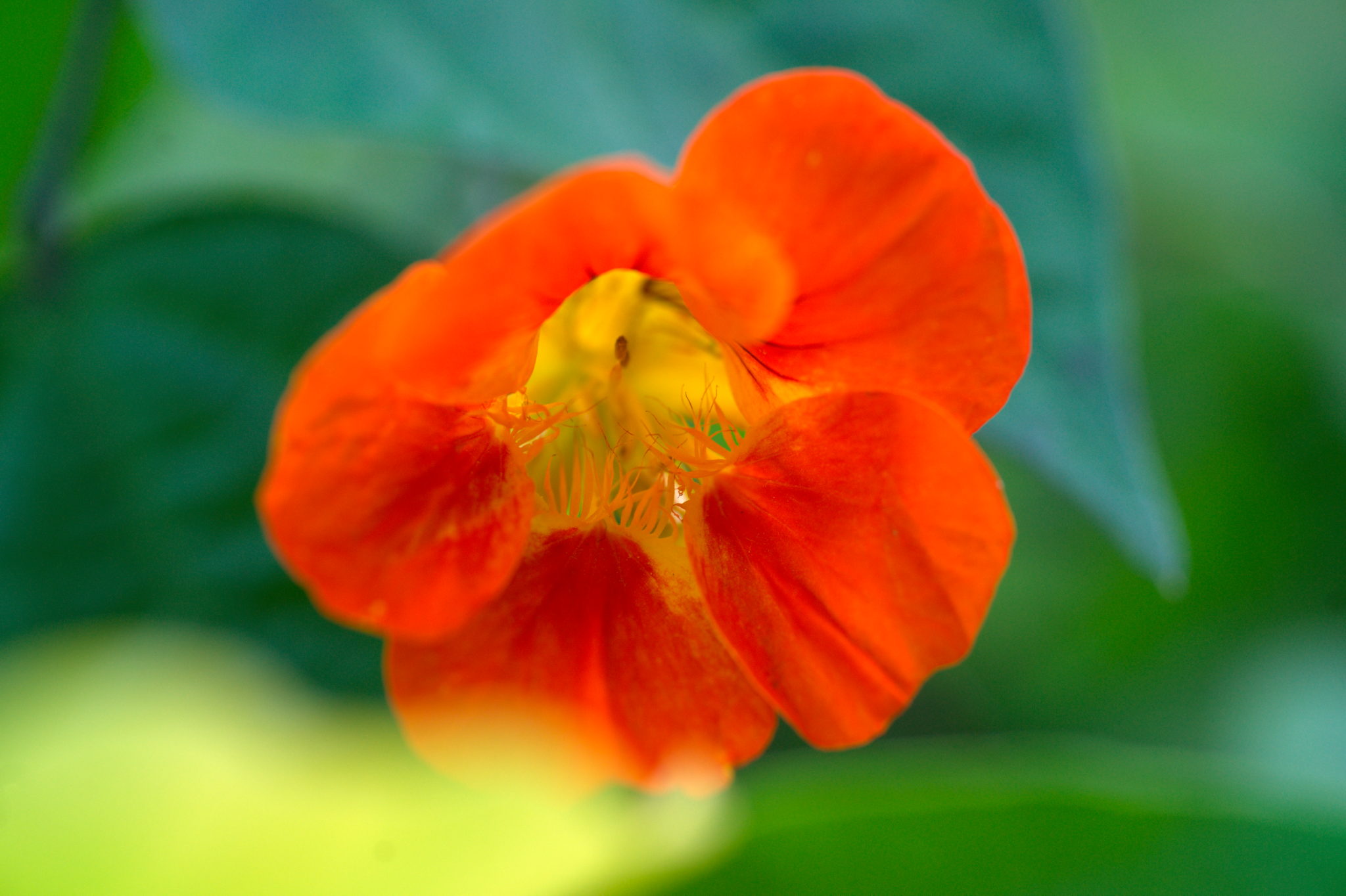 20219022 Gruen(t)raum Heimfeld 9542