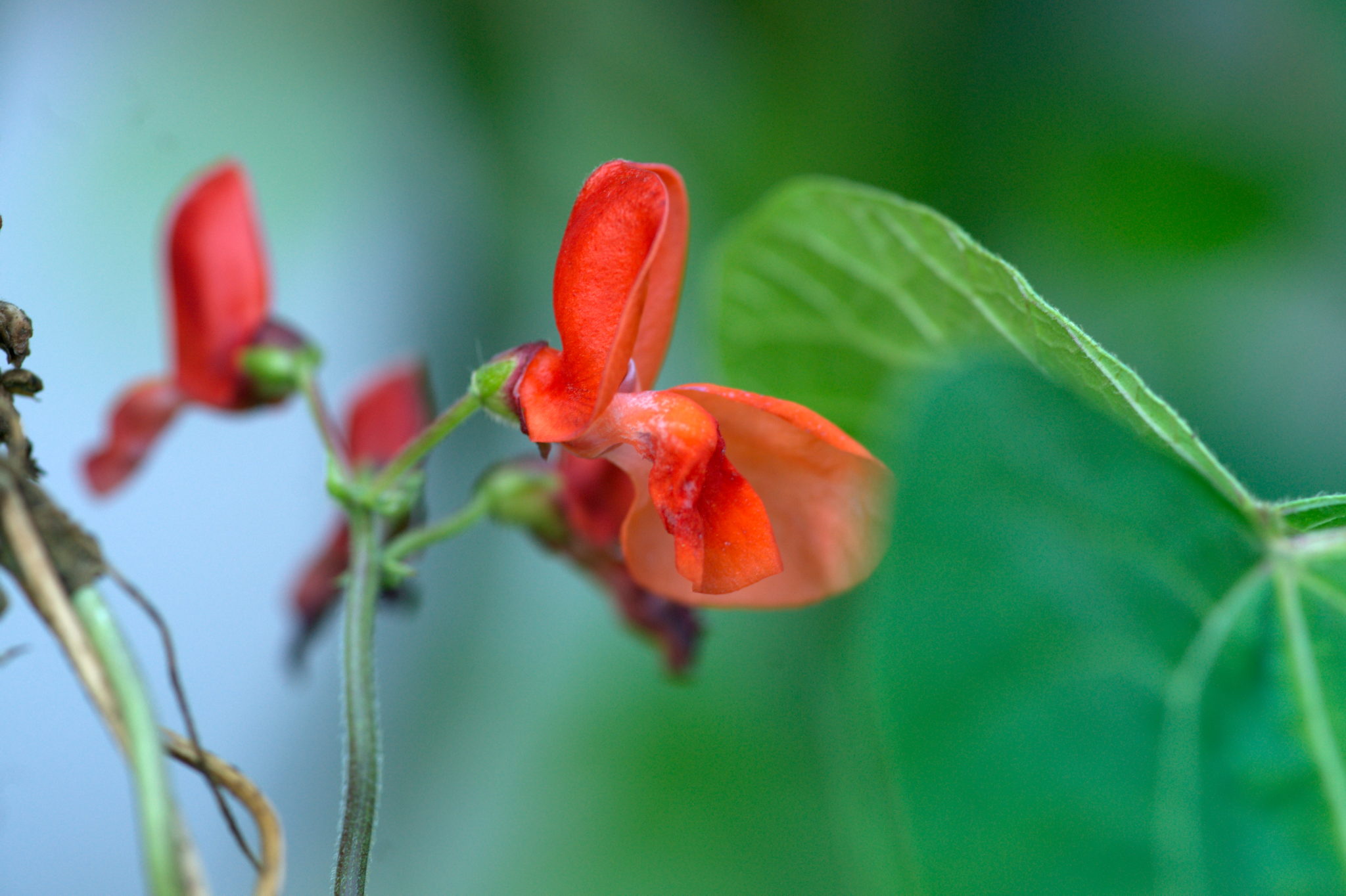 20219022 Gruen(t)raum Heimfeld 9552