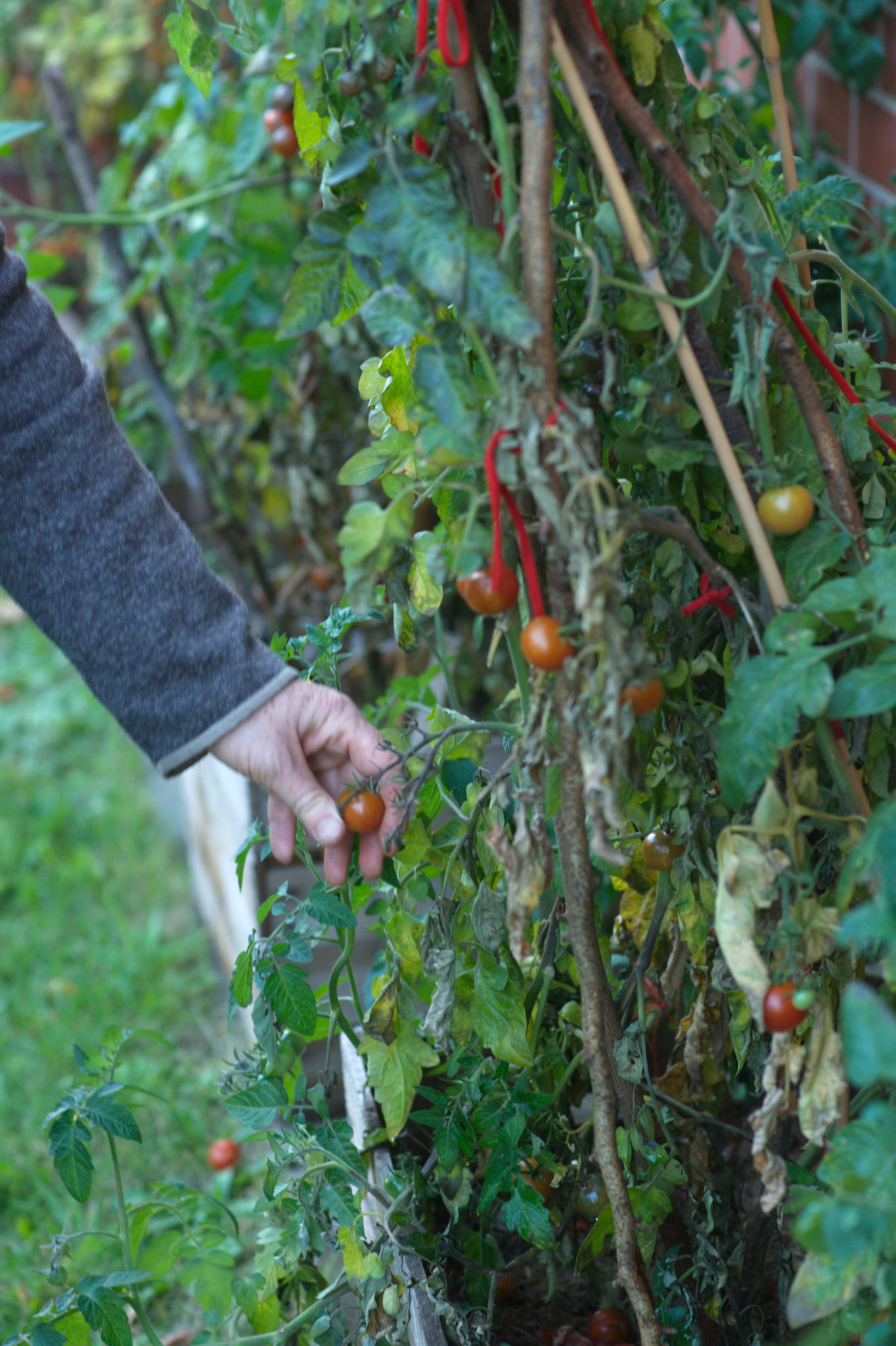 20219022 Gruen(t)raum Heimfeld 9556