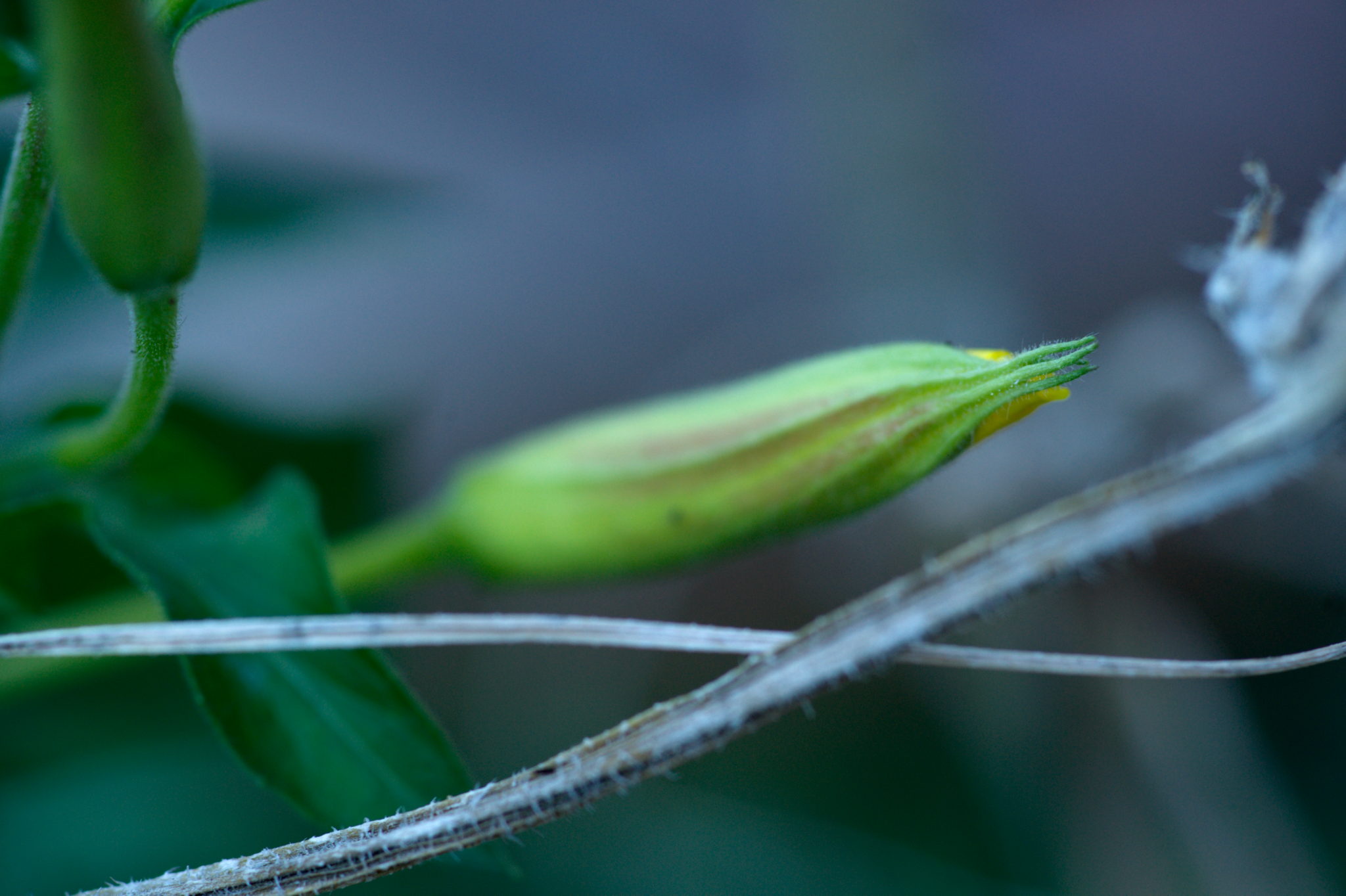 20219022 Gruen(t)raum Heimfeld 9564