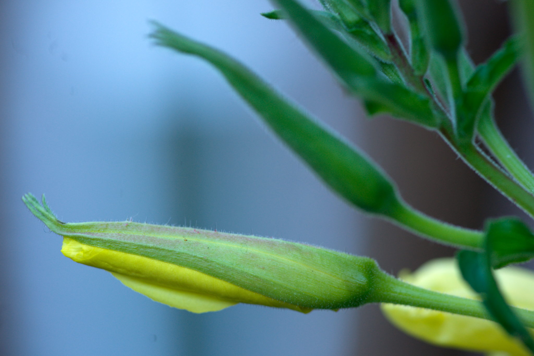 20219022 Gruen(t)raum Heimfeld 9565