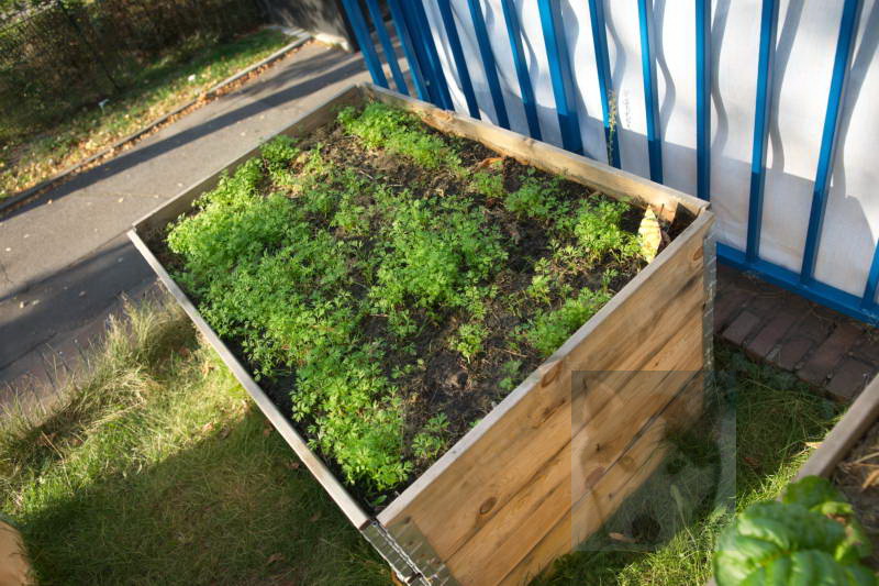 20200916 Gruen t raum 042