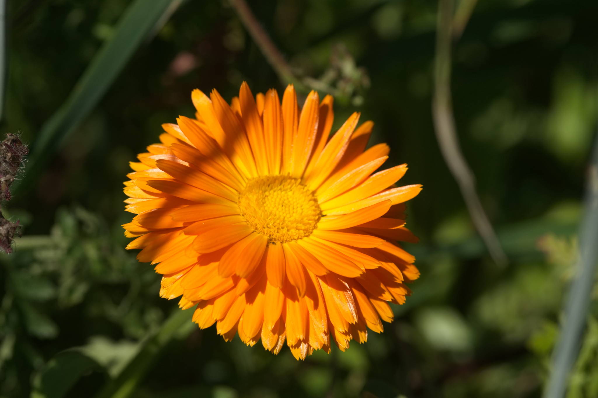 20230707 Urbane PK 024