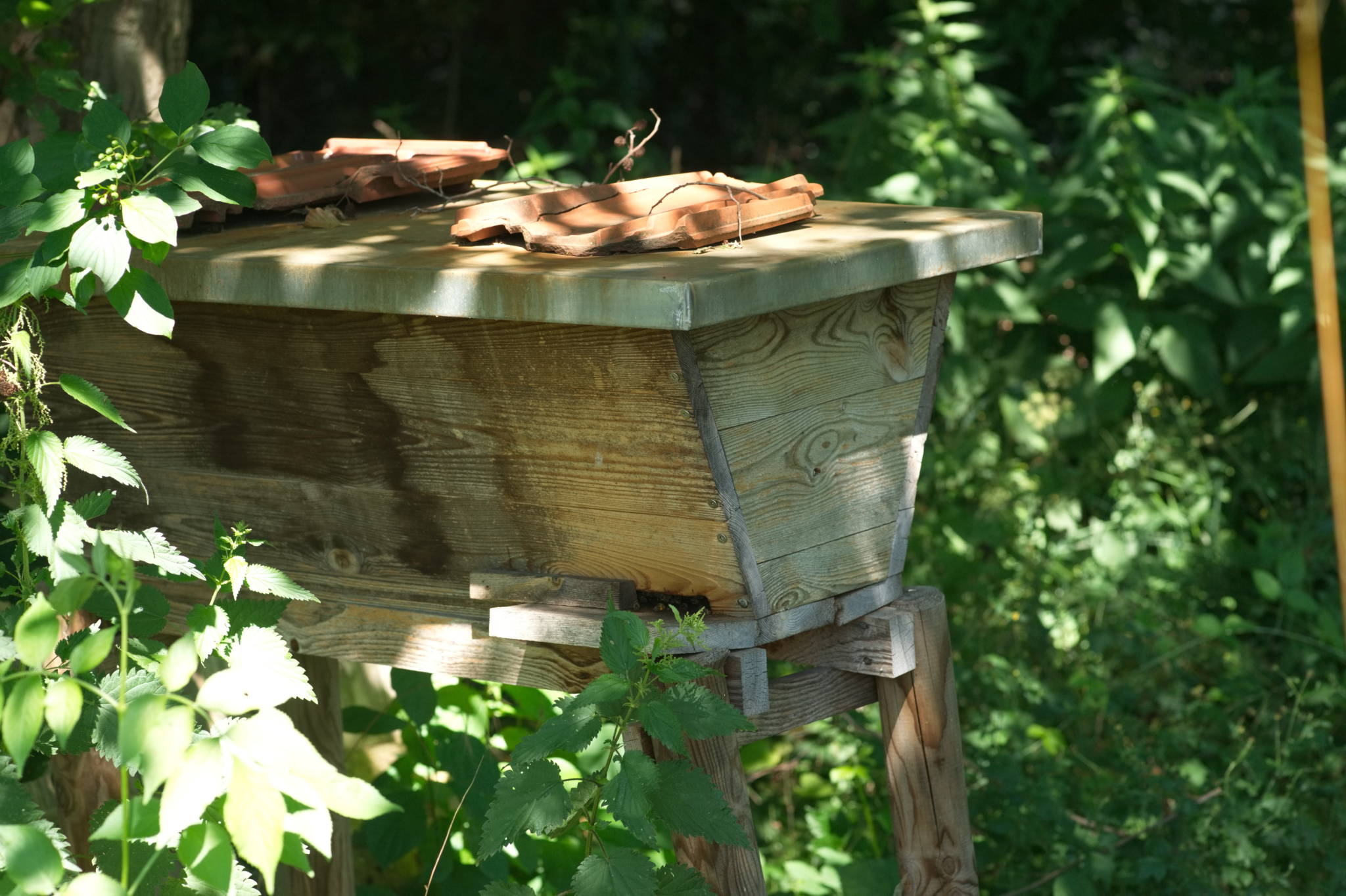 20230707 Urbane PK 050