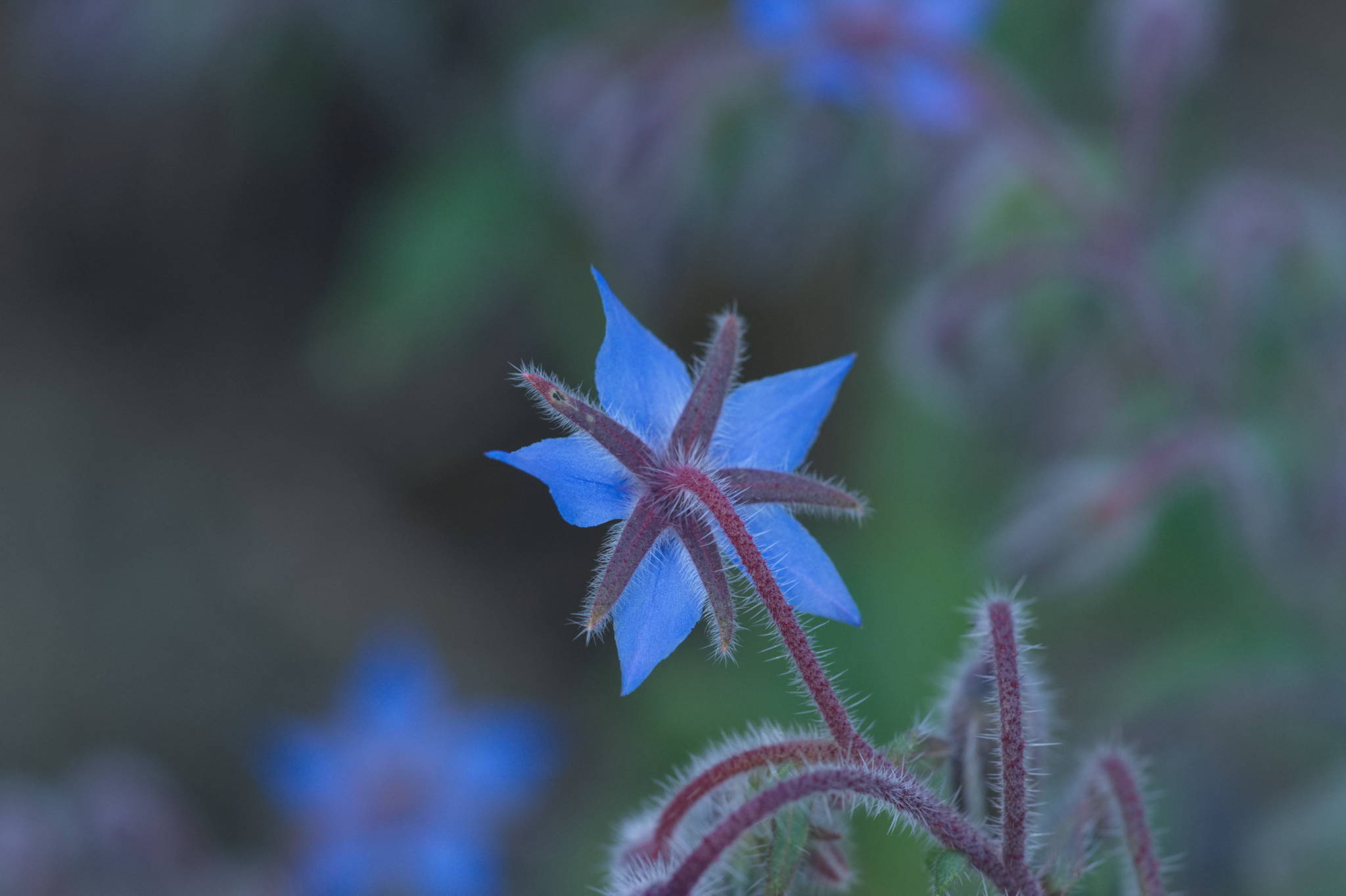 20230707 Urbane PK 064