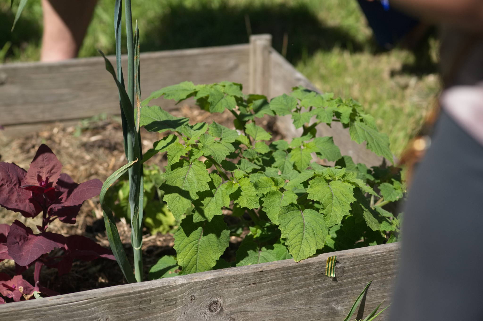 20230707 Urbane PK 068