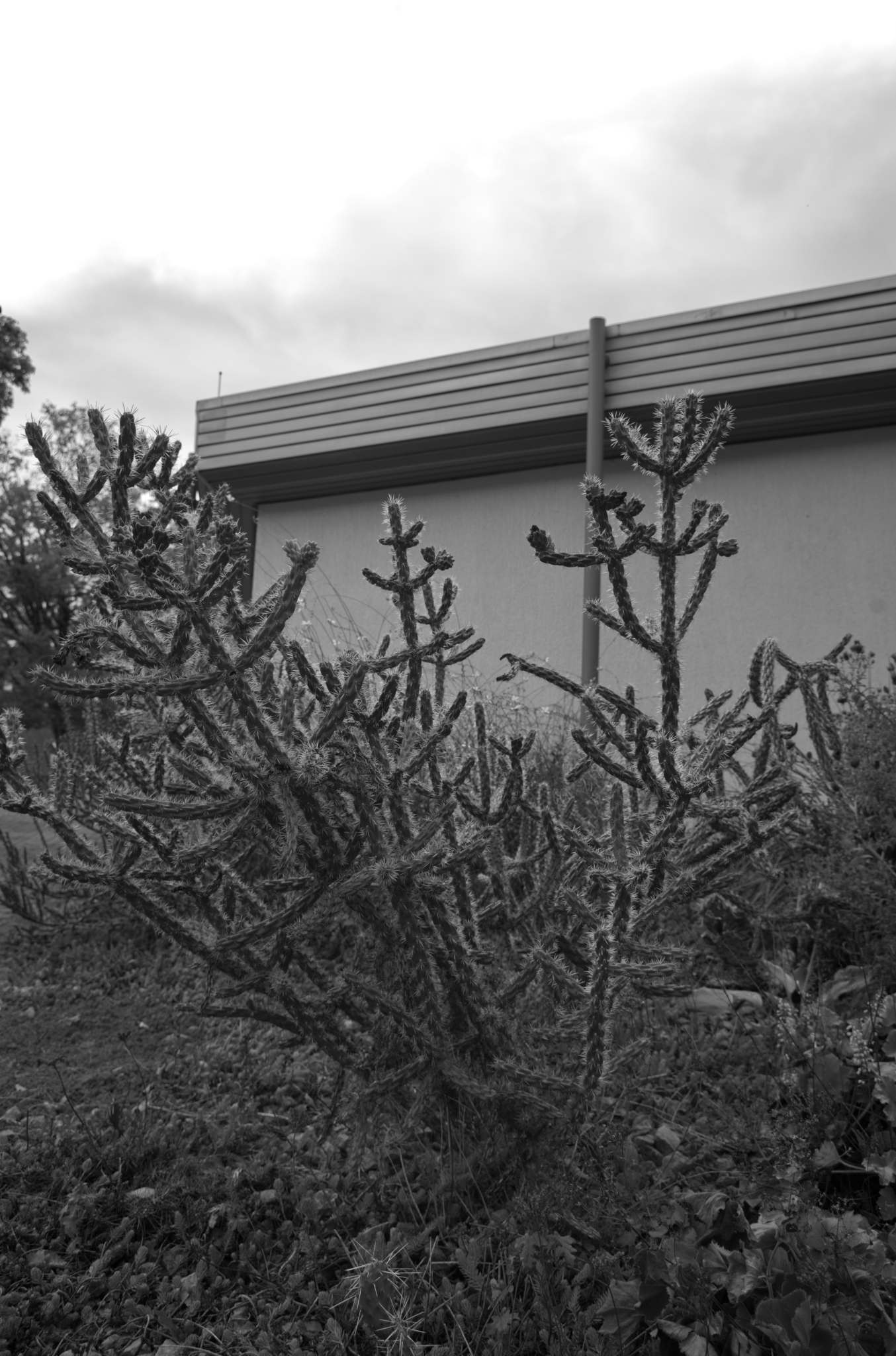 20221006 Waldgarten 11