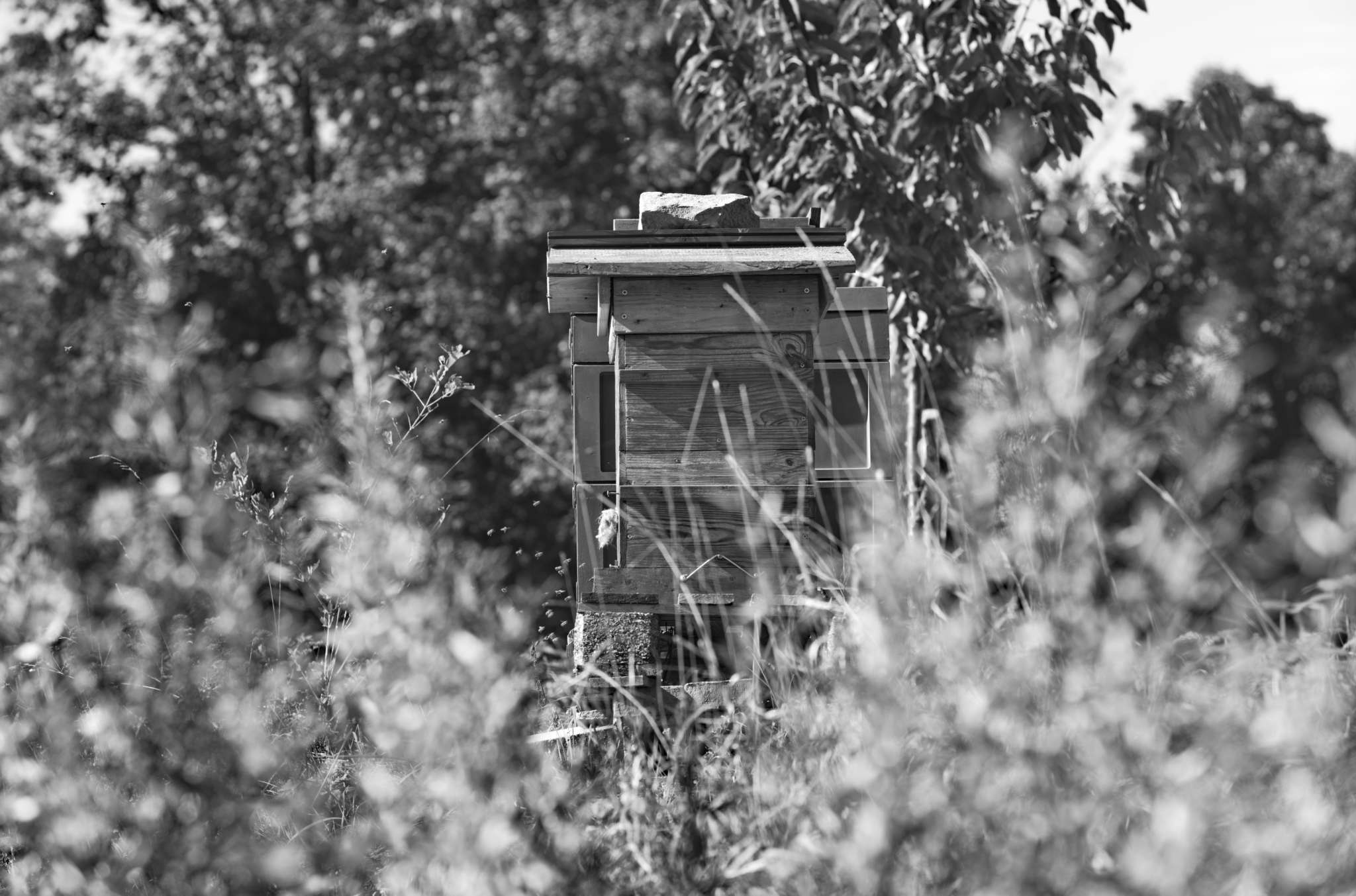 20221004 Waldgarten 33