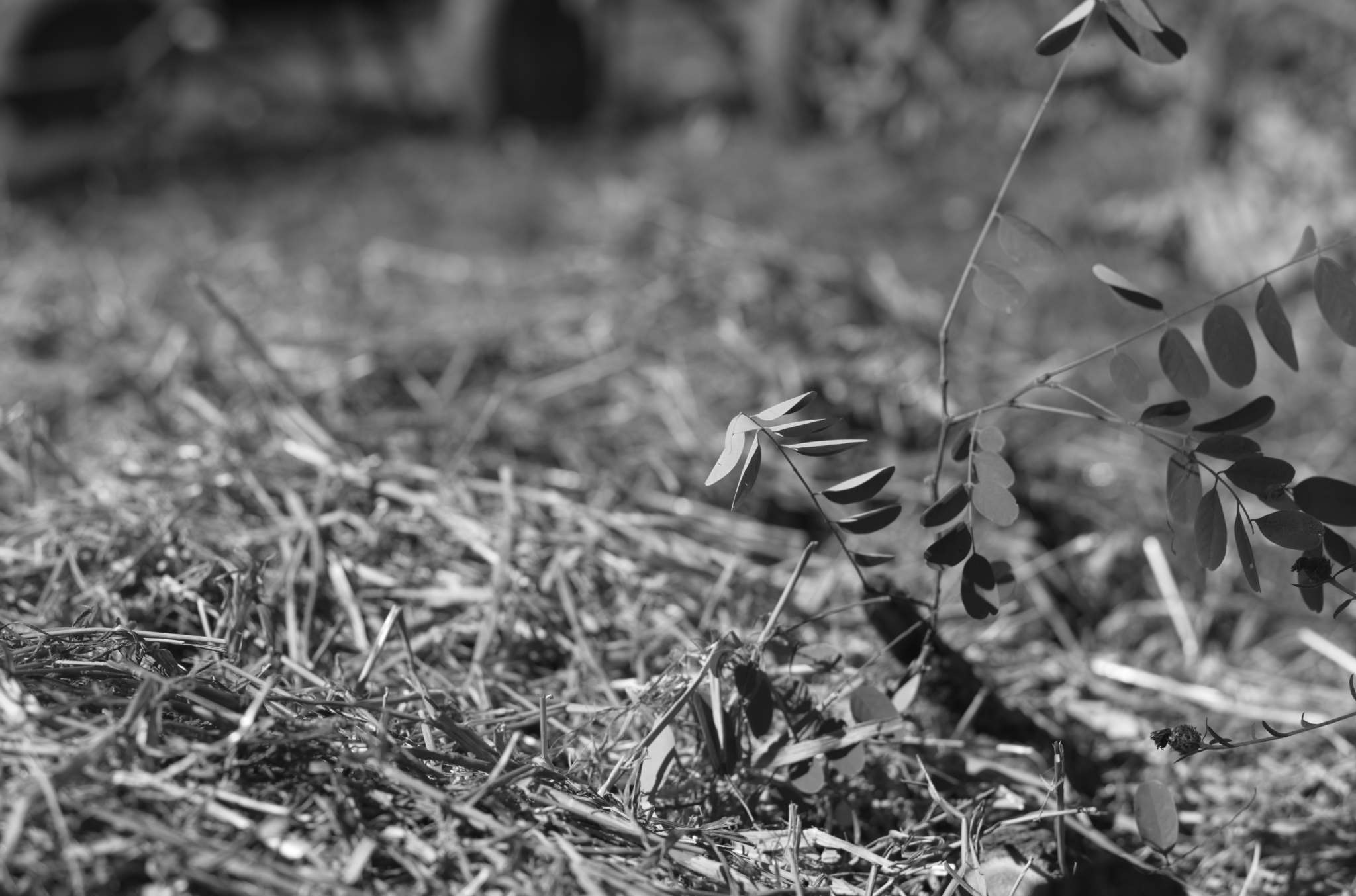 20221004 Waldgarten 39