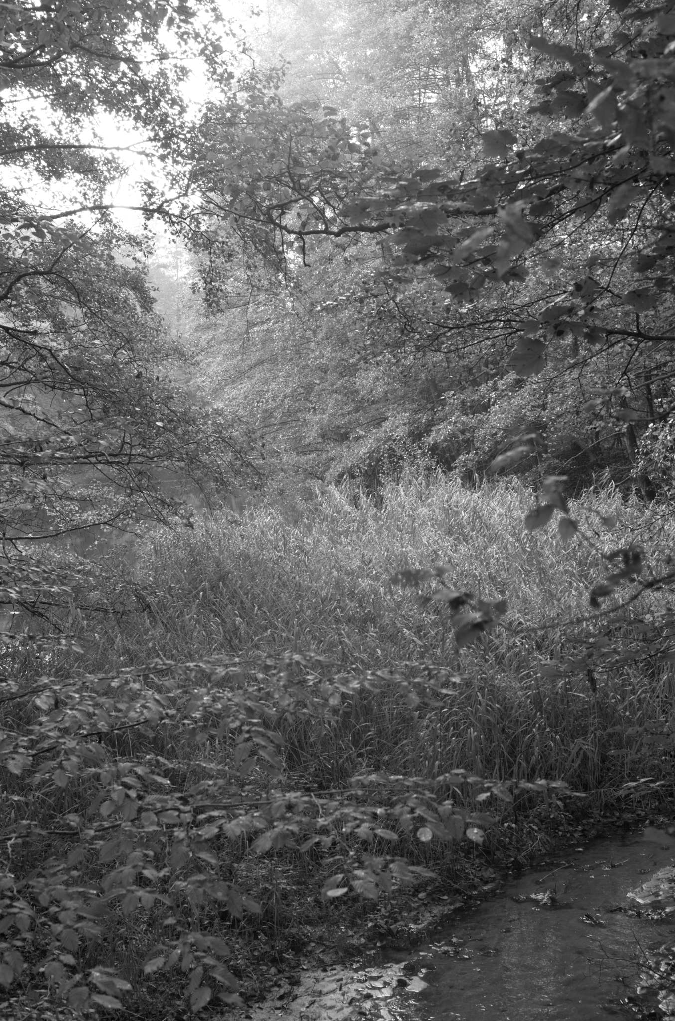 20221005 Waldgarten 18