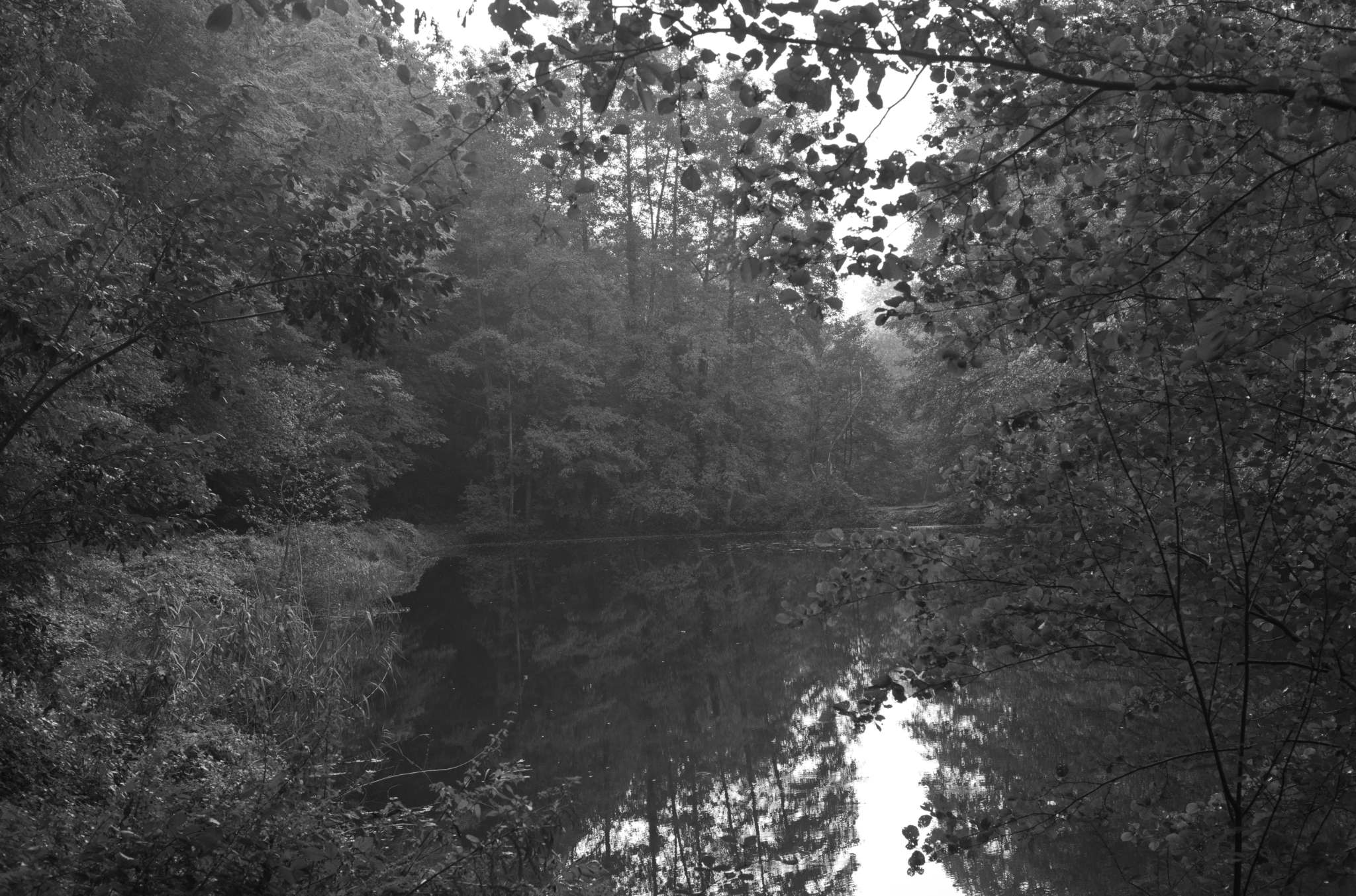 20221005 Waldgarten 19