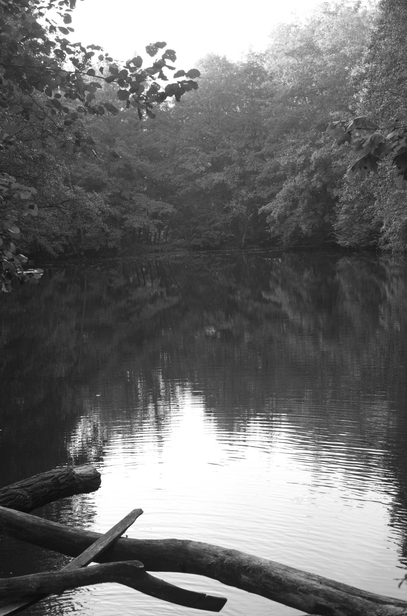 20221005 Waldgarten 23