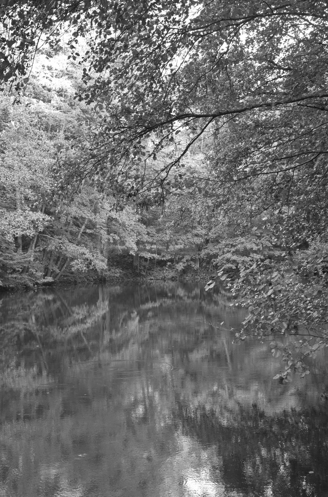 20221005 Waldgarten 25