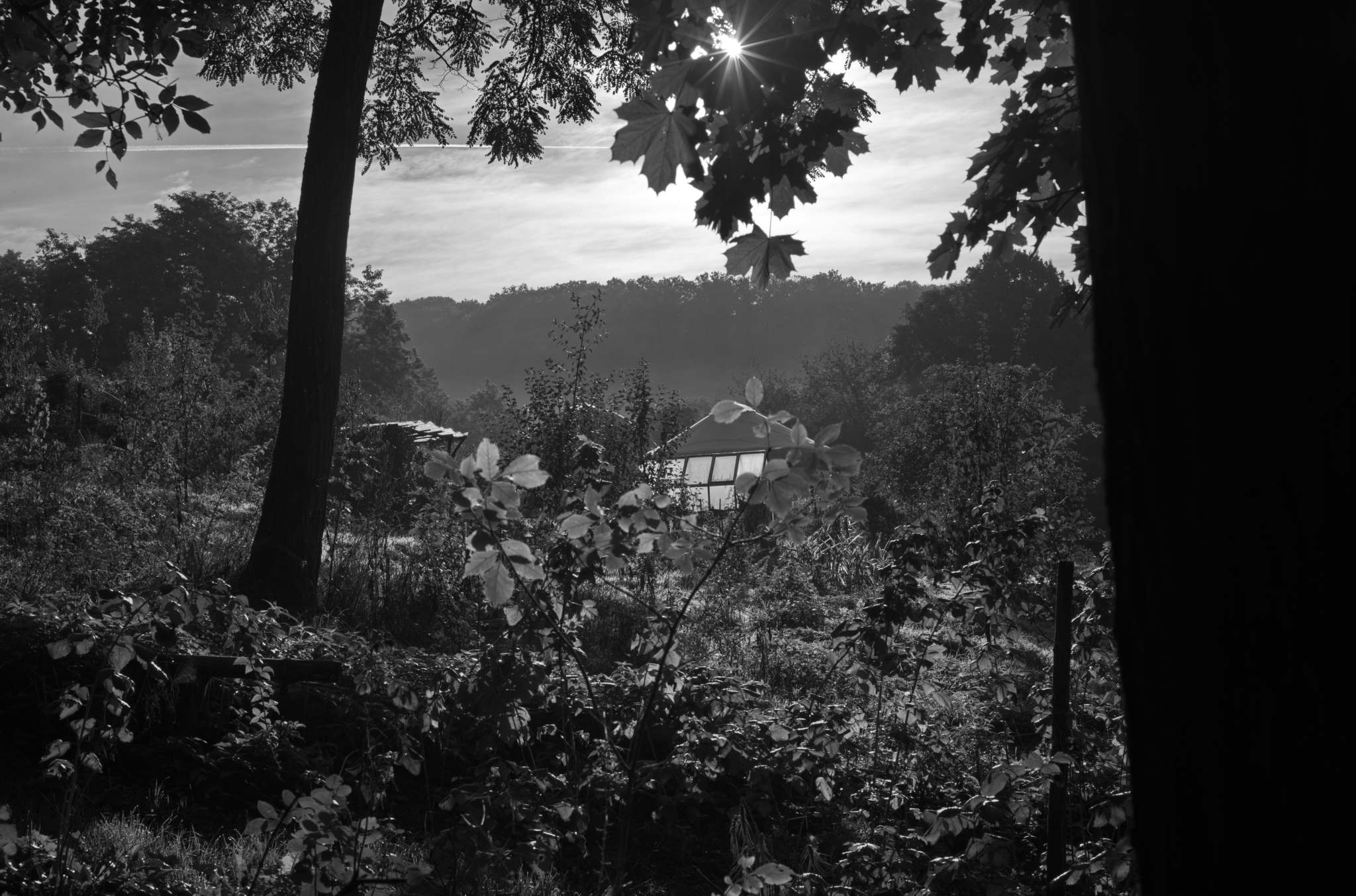 20221005 Waldgarten 26