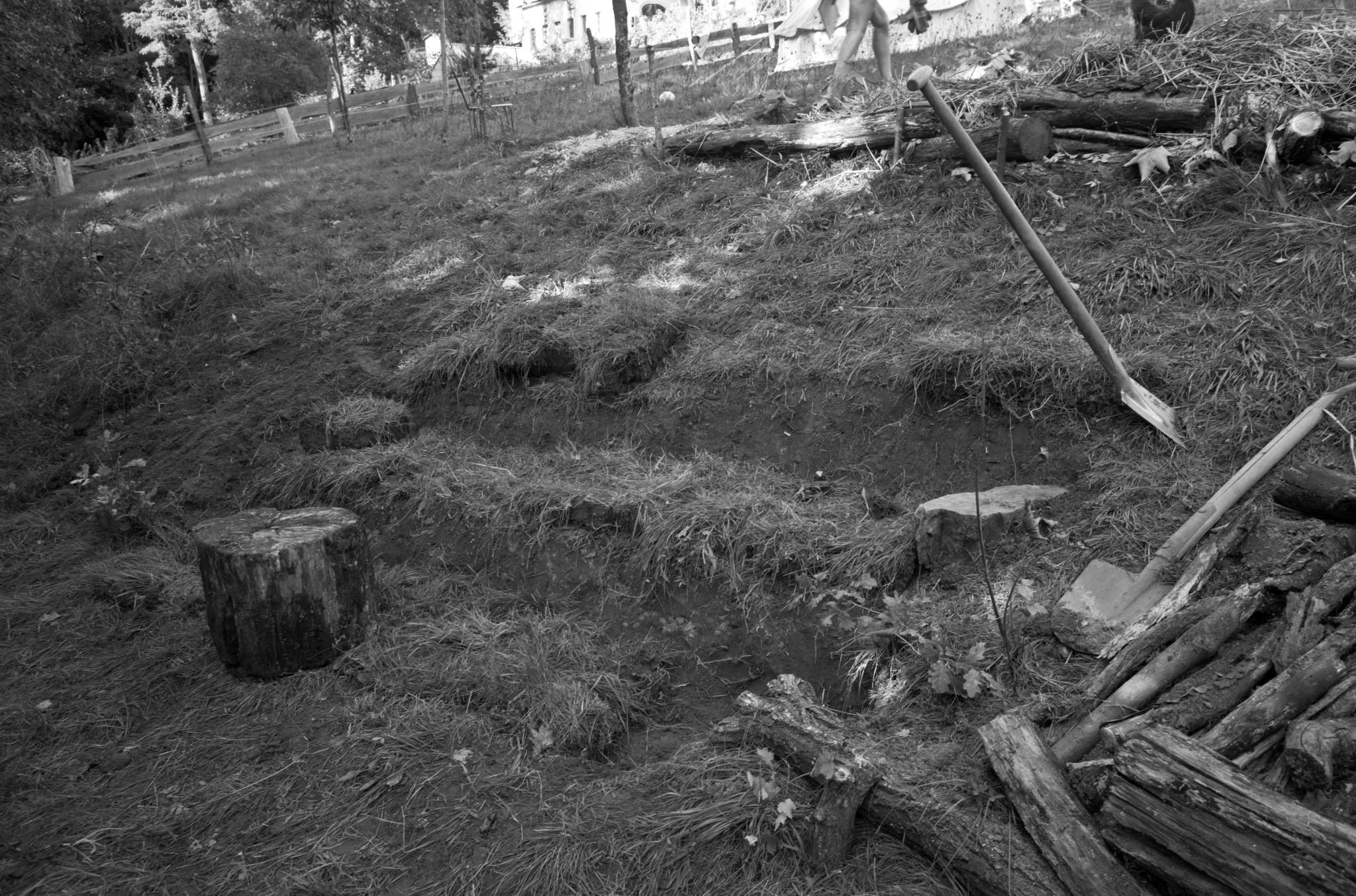 20221005 Waldgarten 38