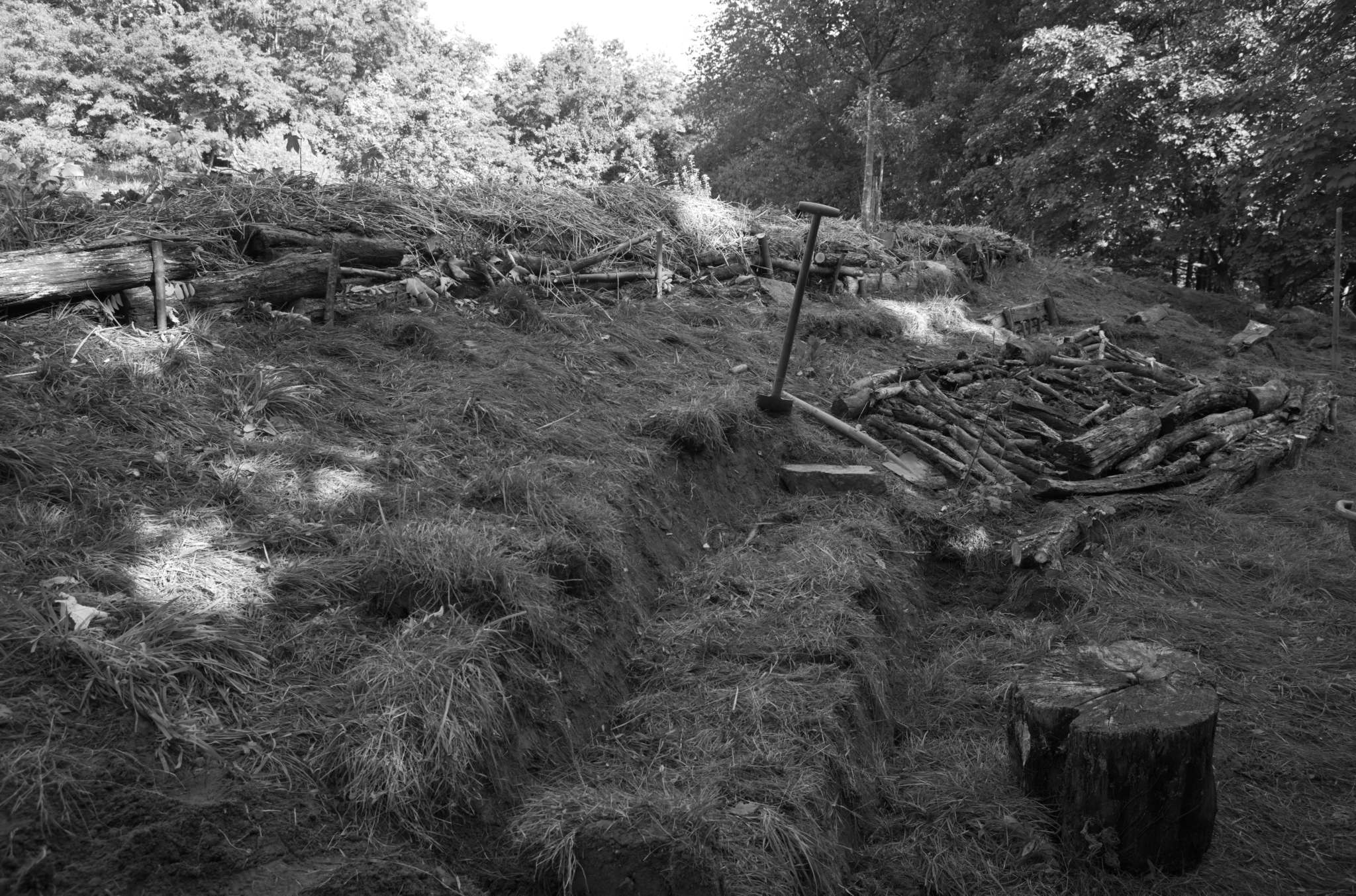 20221005 Waldgarten 39