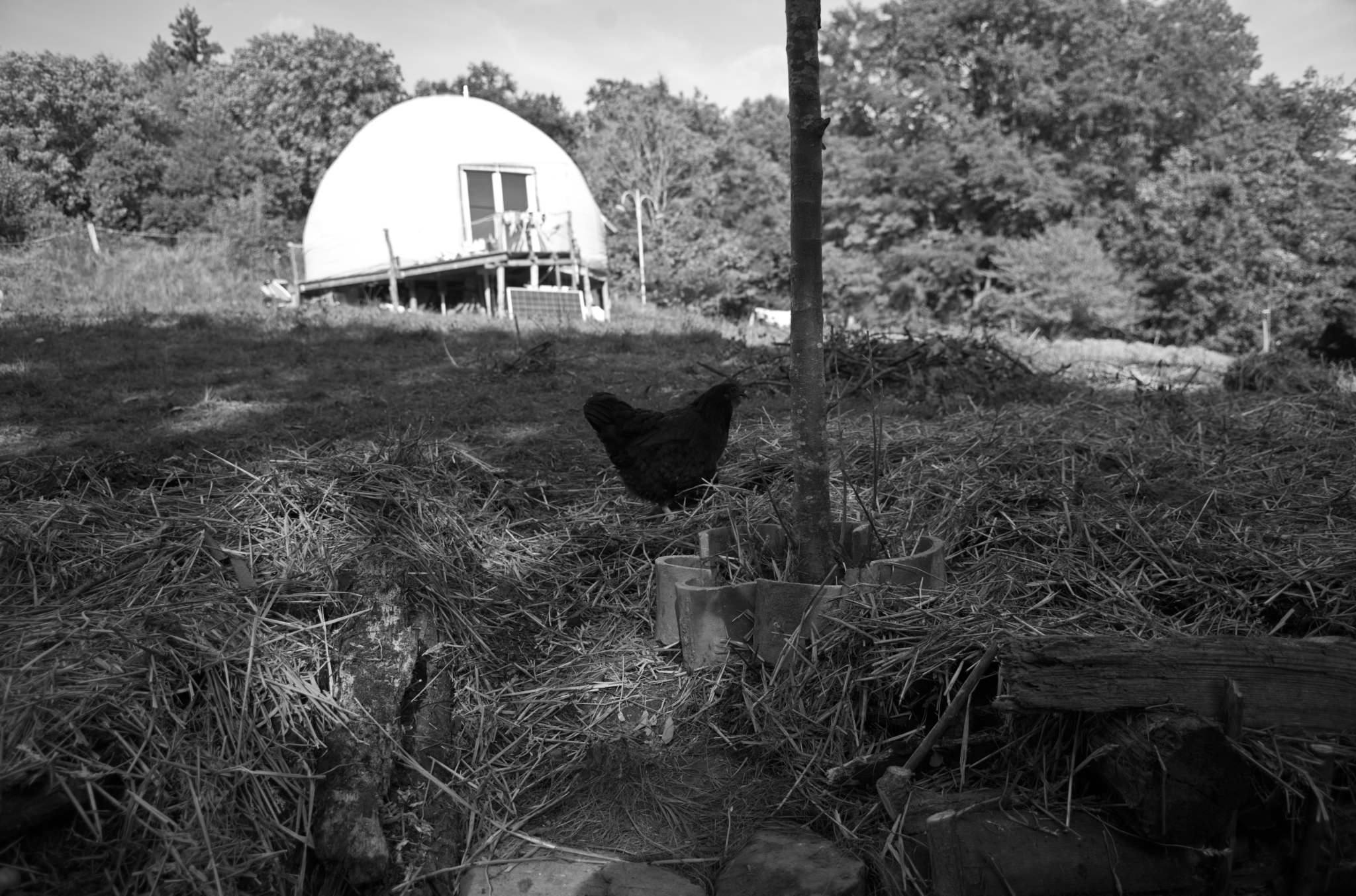 20221005 Waldgarten 40