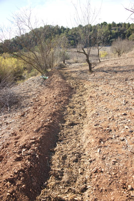 20231109 PK H2O Management 011