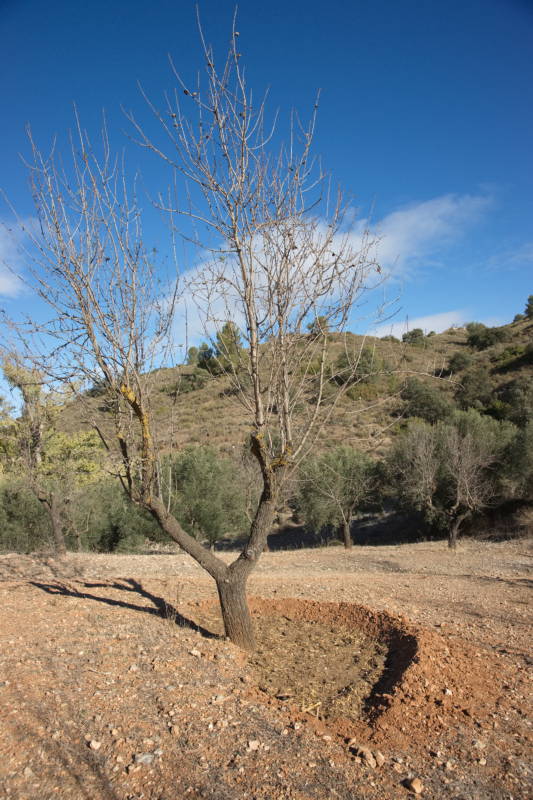 20231109 PK H2O Management 022