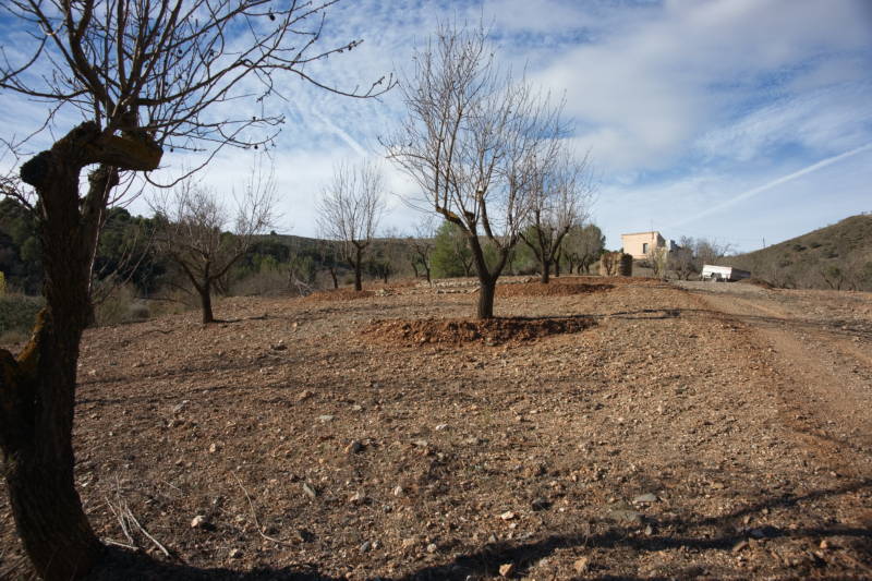 20231109 PK H2O Management 025