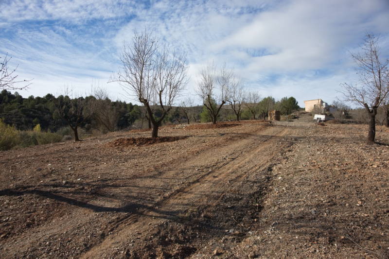 20231109 PK H2O Management 027