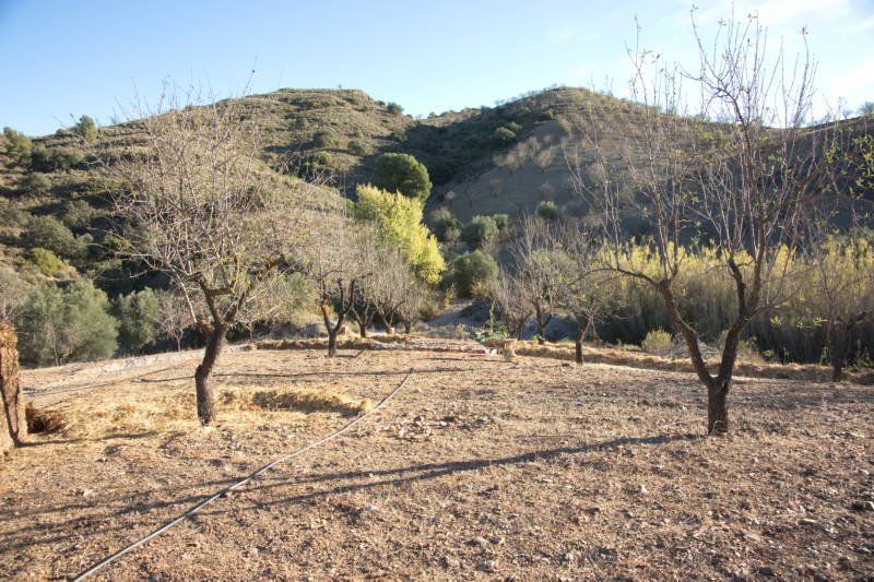 20231110 PK H2O Management 002