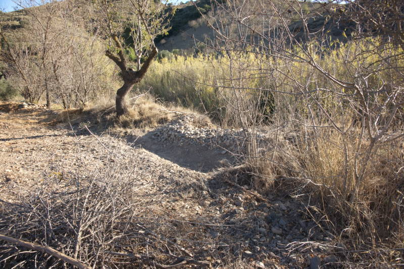 20231110 PK H2O Management 003