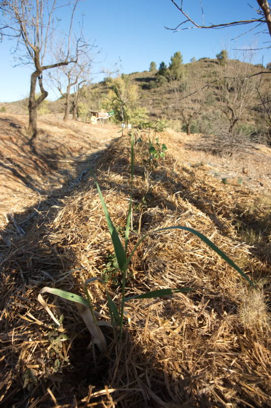 20231110 PK H2O Management 009