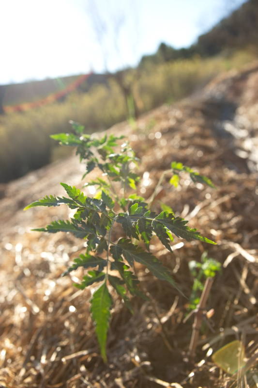 20231110 PK H2O Management 014