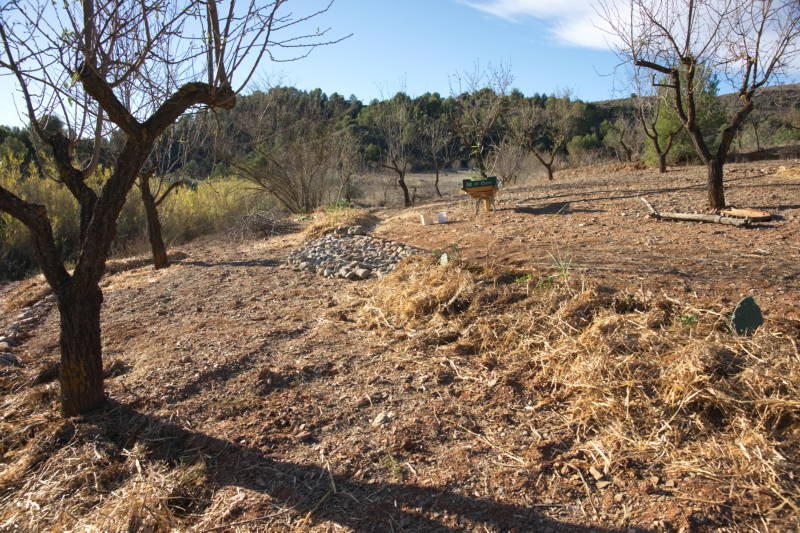 20231110 PK H2O Management 015
