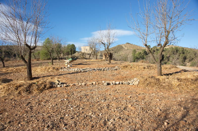 20231110 PK H2O Management 018