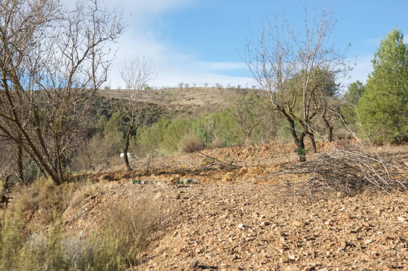 20231110 PK H2O Management 022