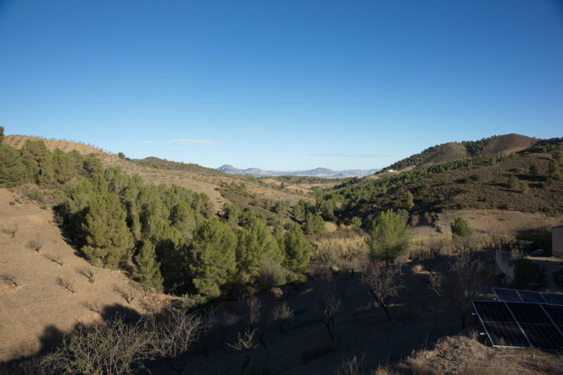 20231110 PK H2O Management 035