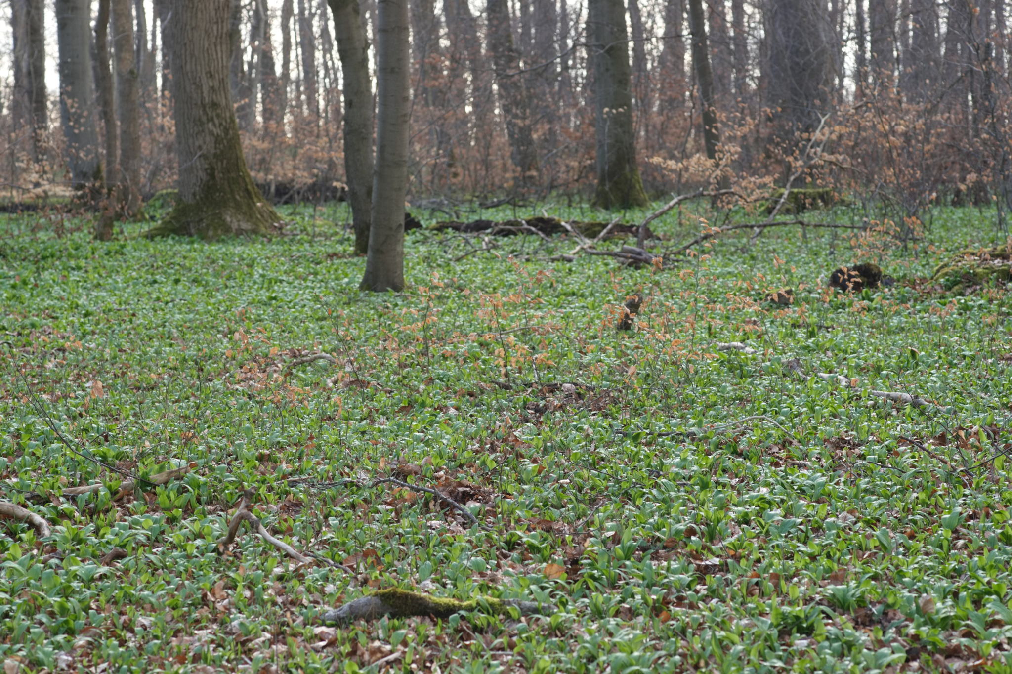 20230324 PKI Wintertreffen 005
