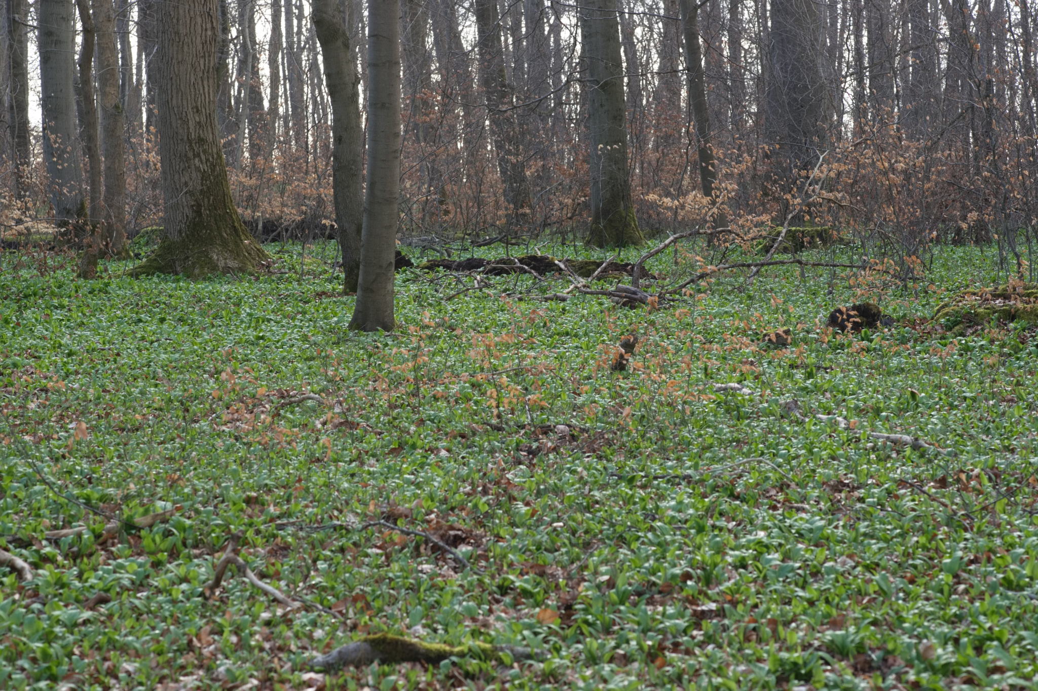 20230324 PKI Wintertreffen 006