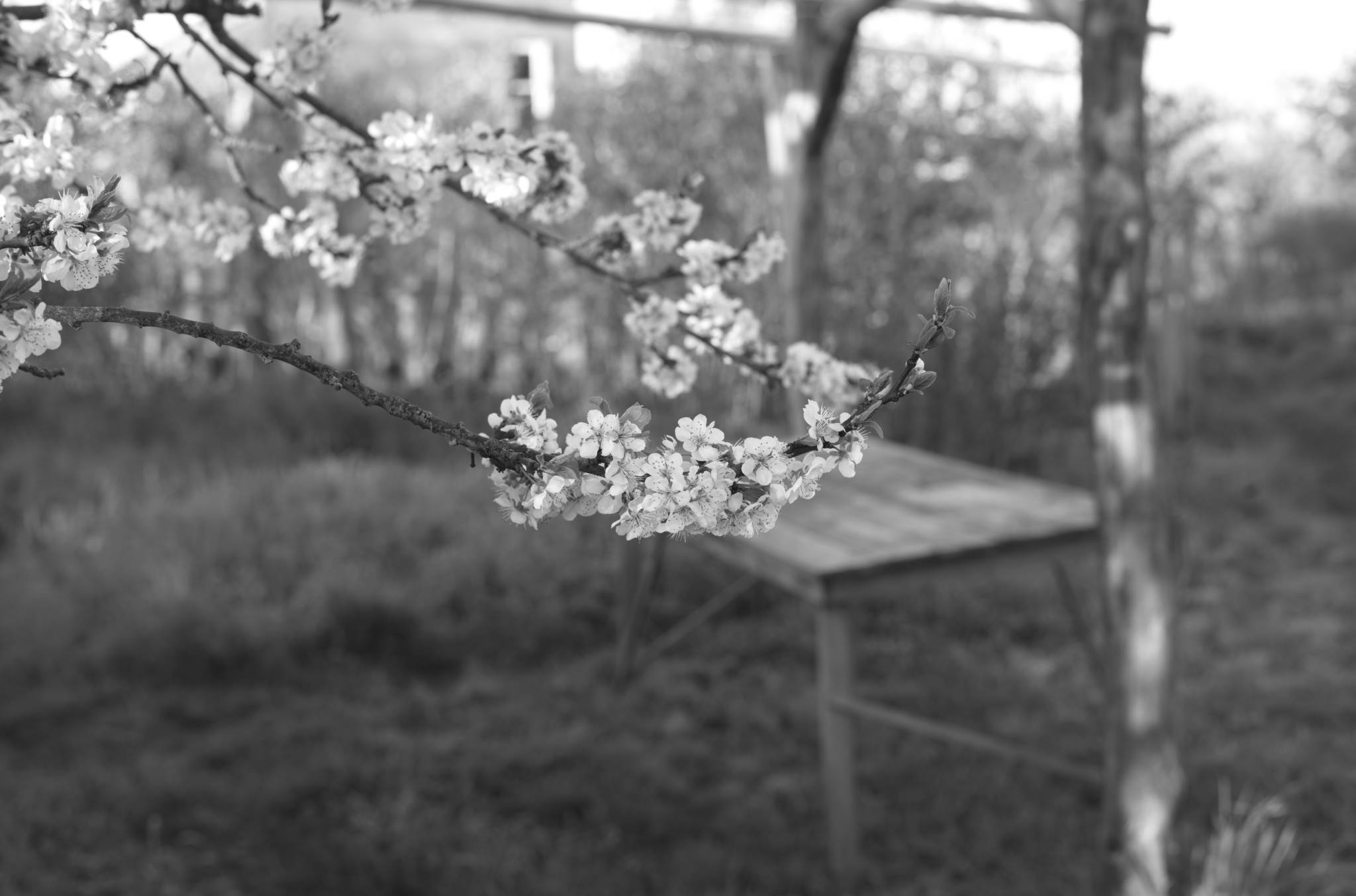 20230428 PK Gerswalde 003