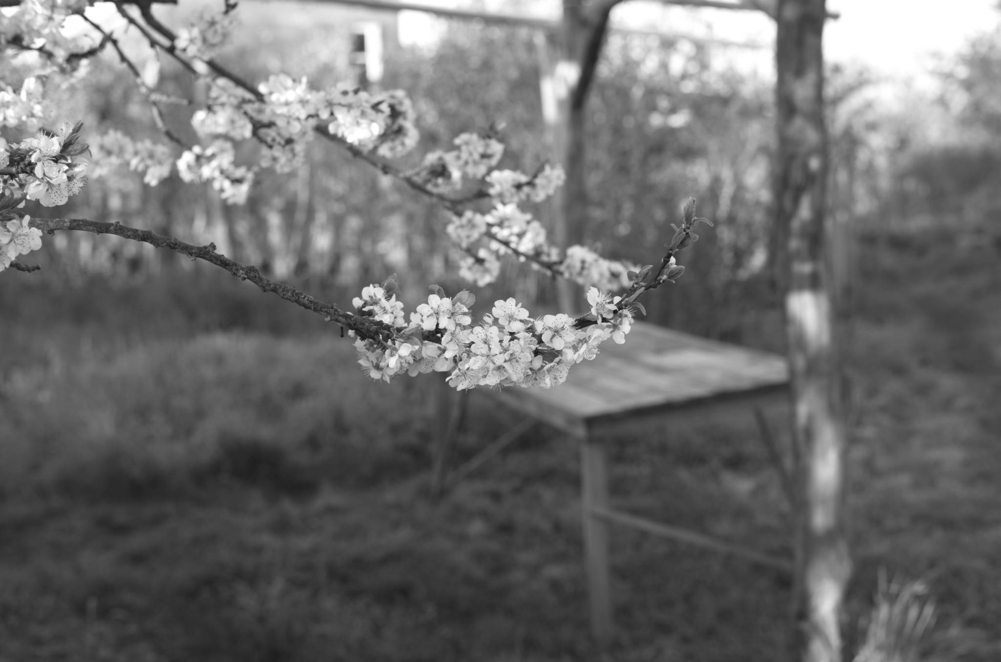 20230428 PK Gerswalde 005