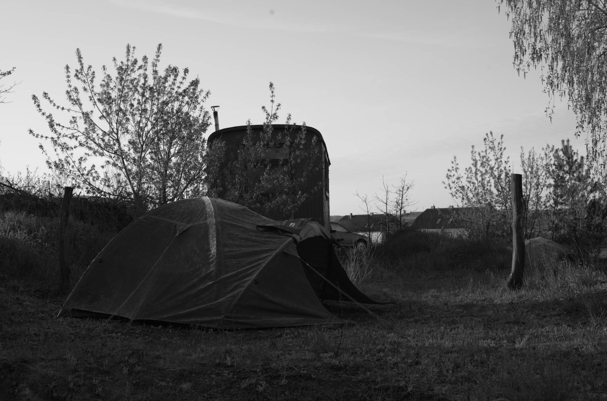 20230428 PK Gerswalde 008