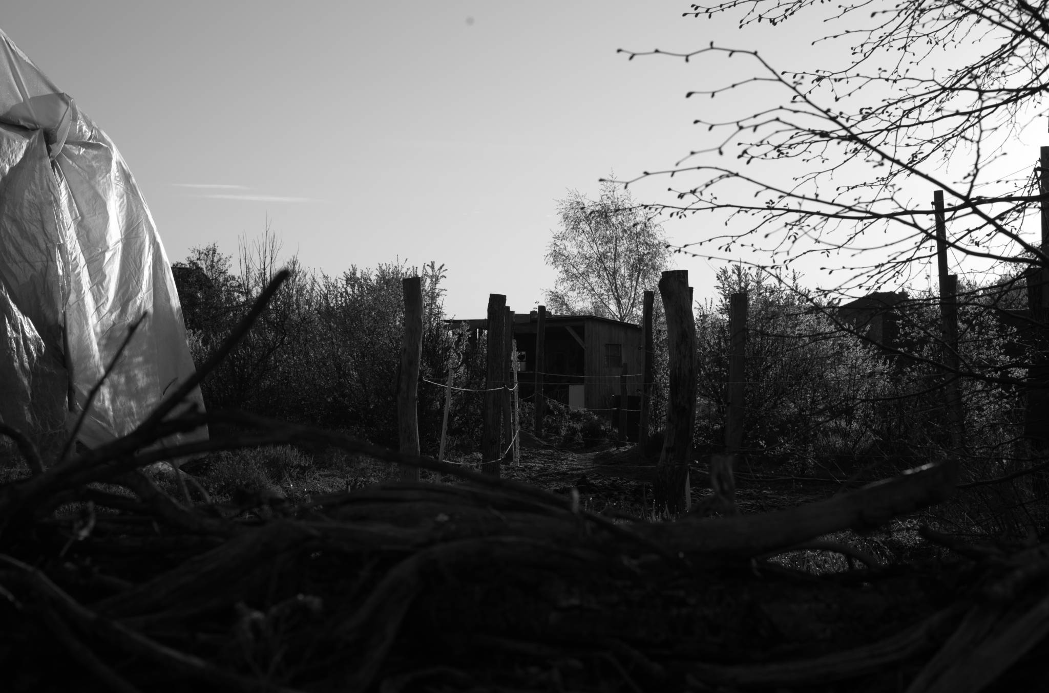 20230428 PK Gerswalde 009