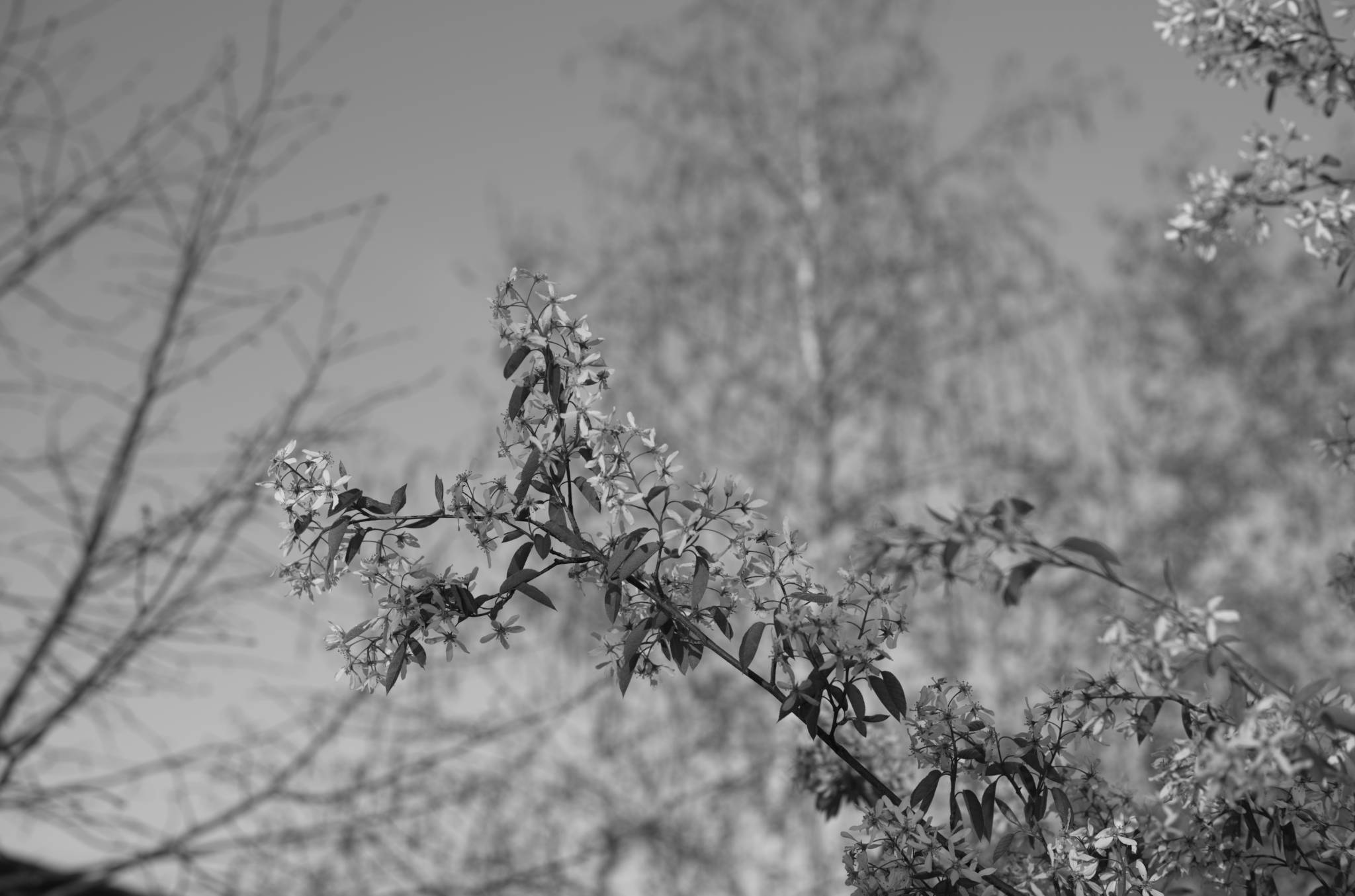 20230428 PK Gerswalde 010