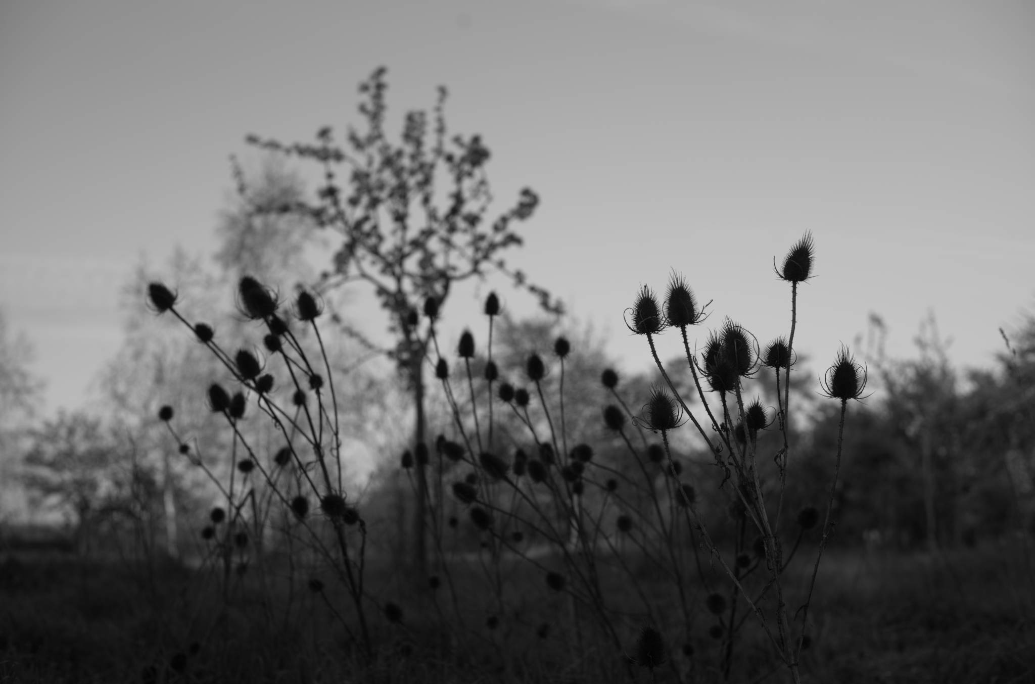 20230428 PK Gerswalde 013