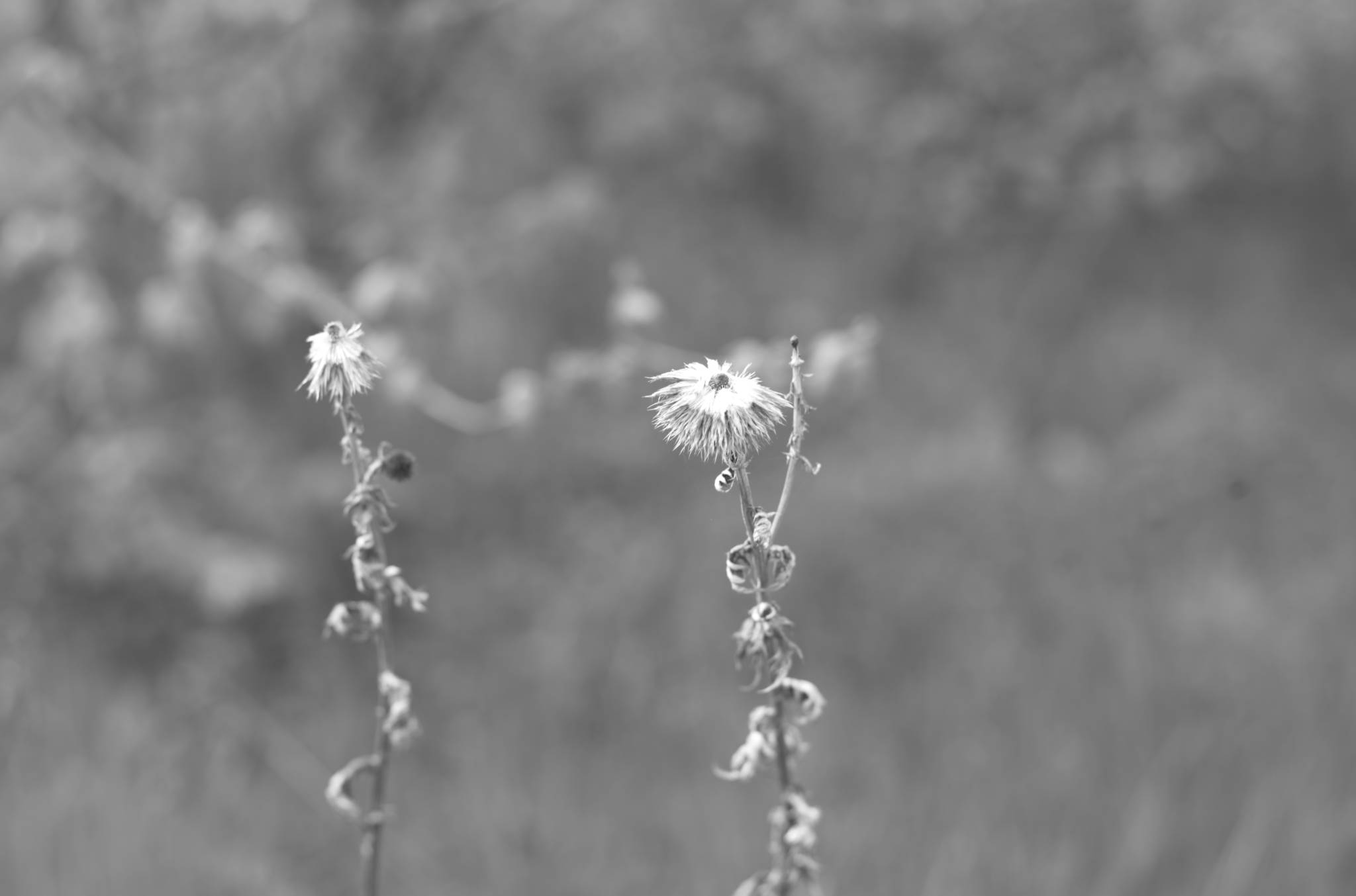 20230428 PK Gerswalde 029