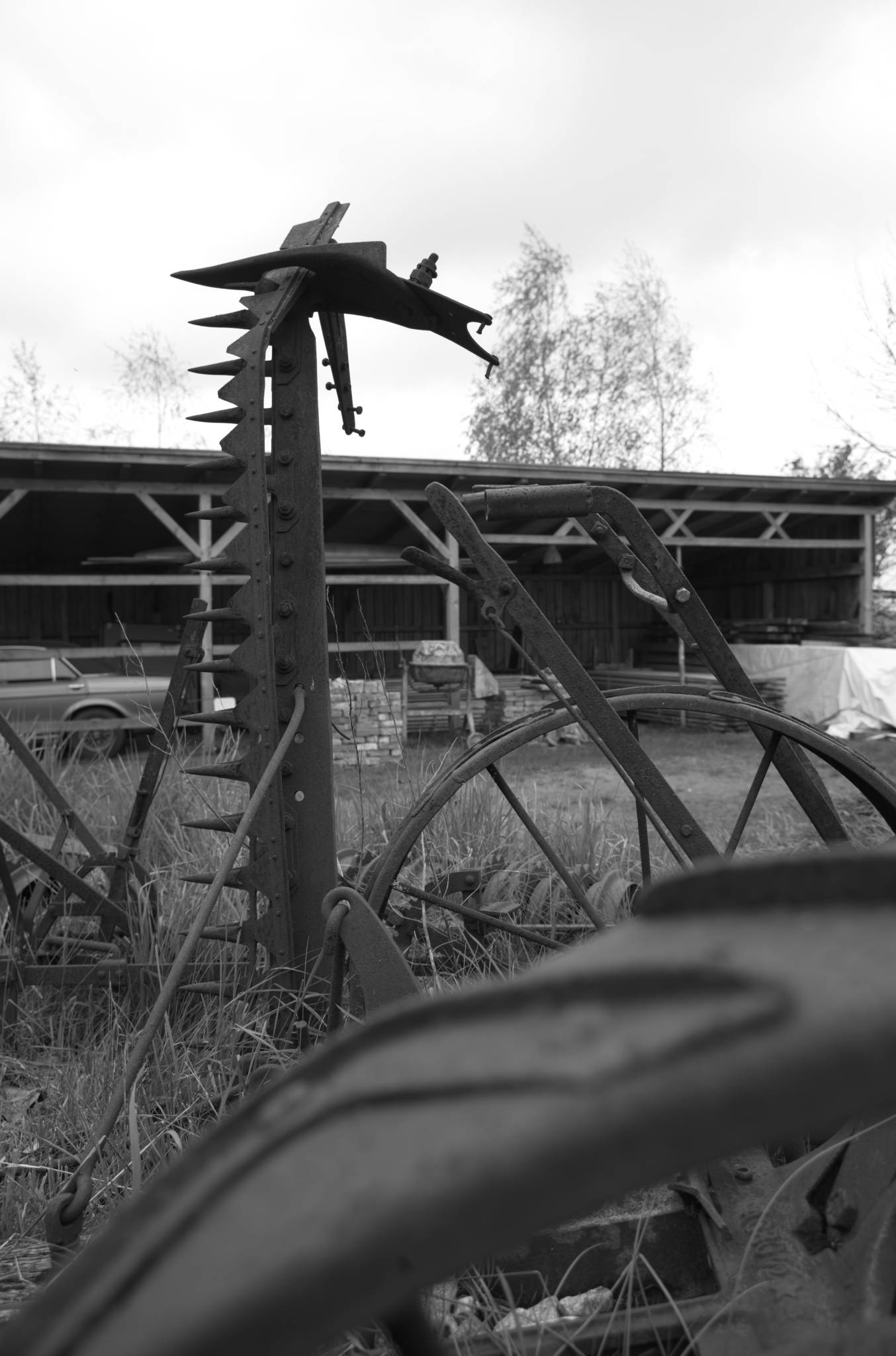 20230429 PK Gerswalde 006