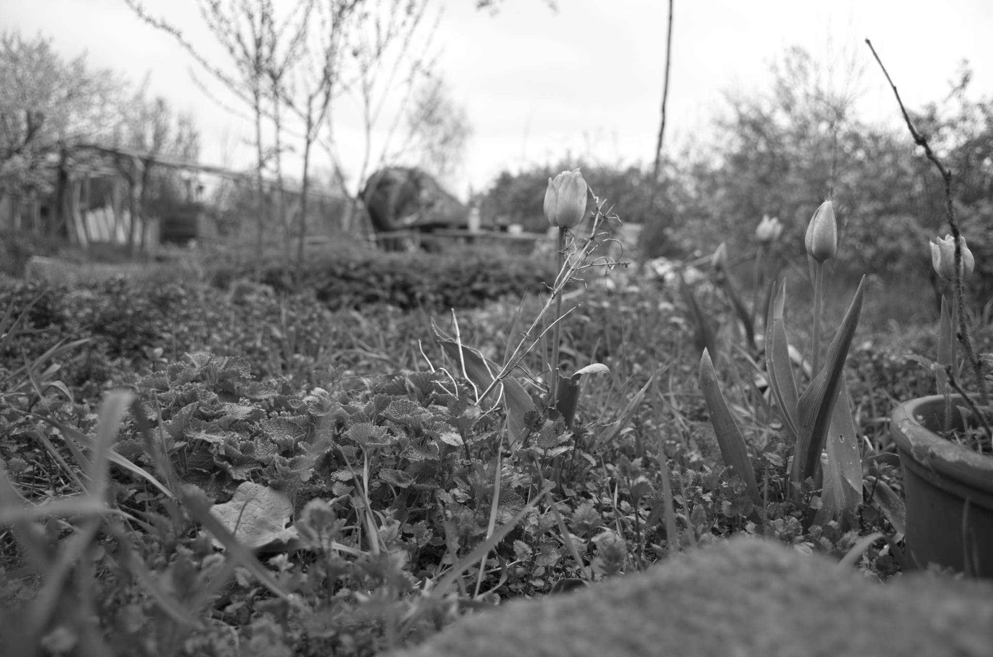 20230429 PK Gerswalde 008