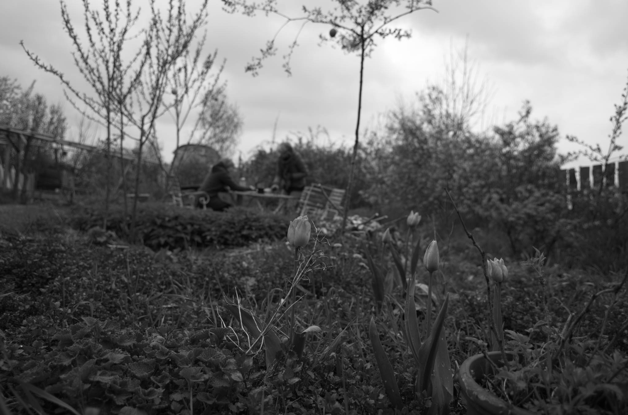 20230429 PK Gerswalde 009